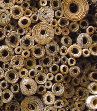 academic-writing-scrolls